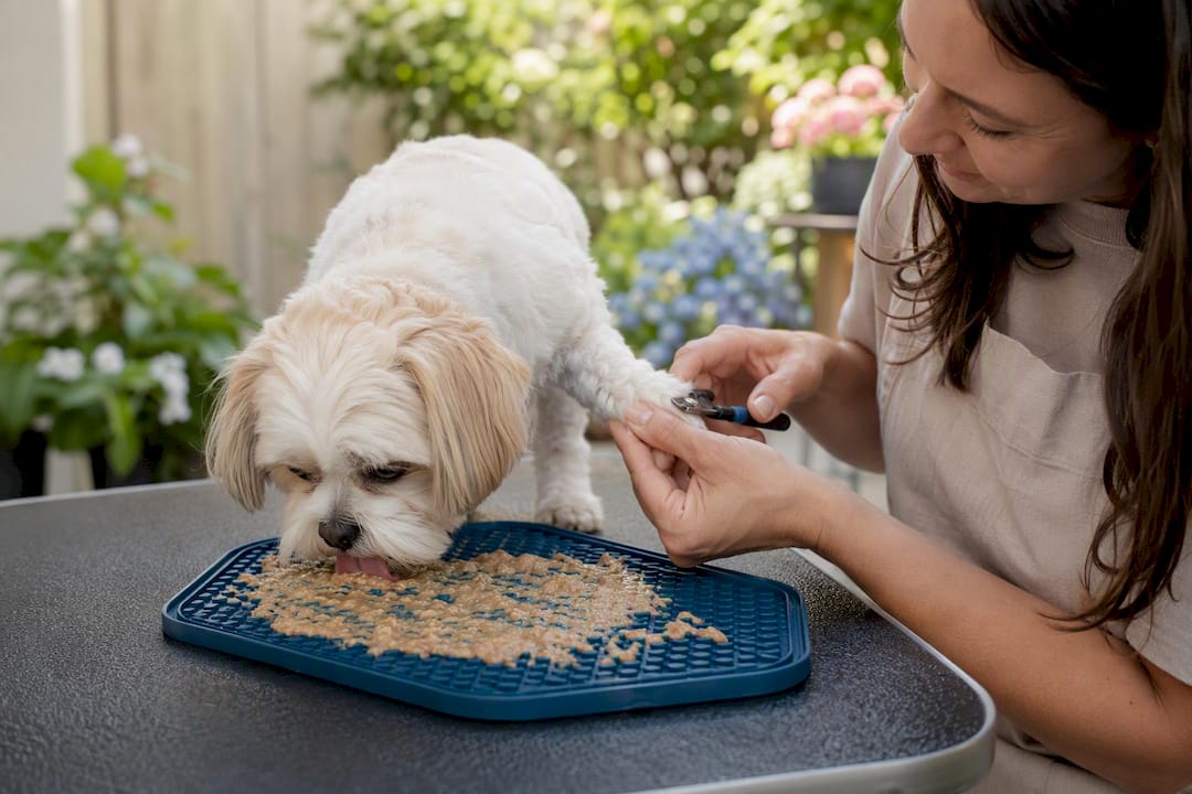 Dog licking treat on lick mat during nail trim
